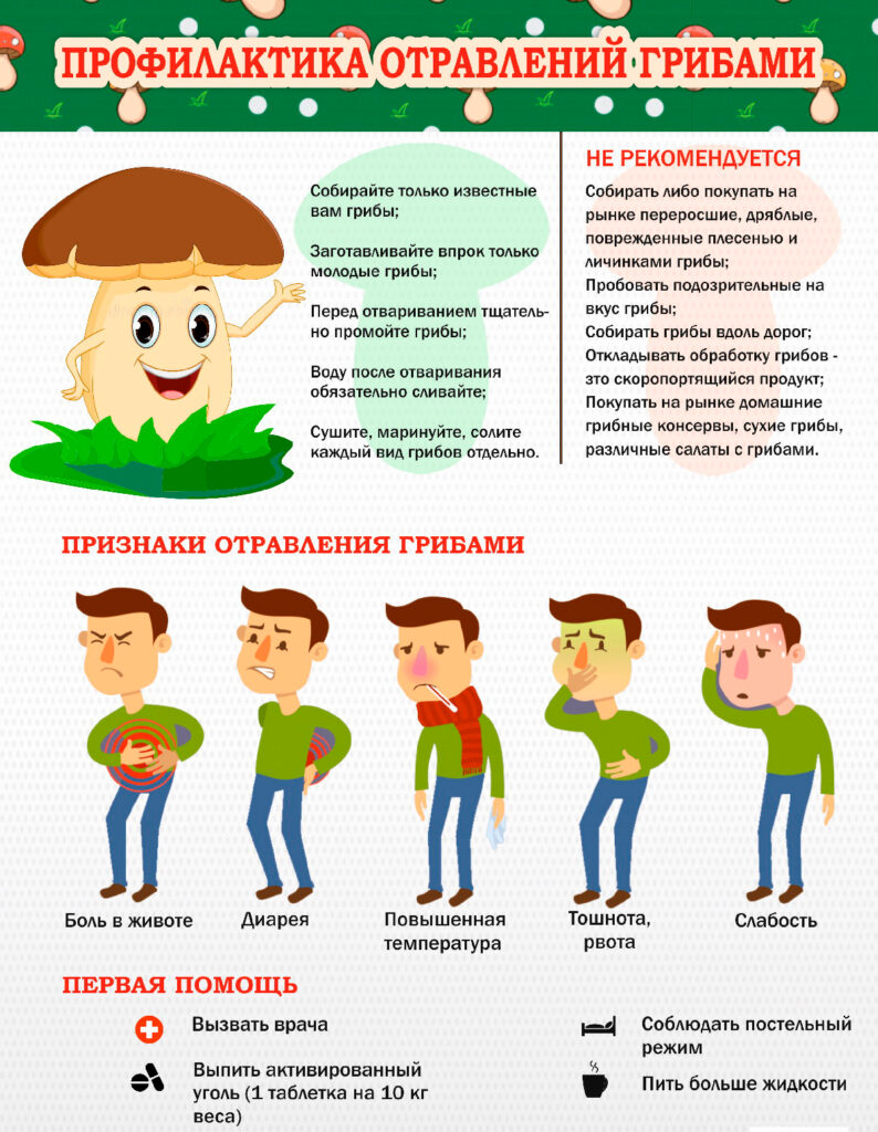 В Кировской области начался сезон грибов